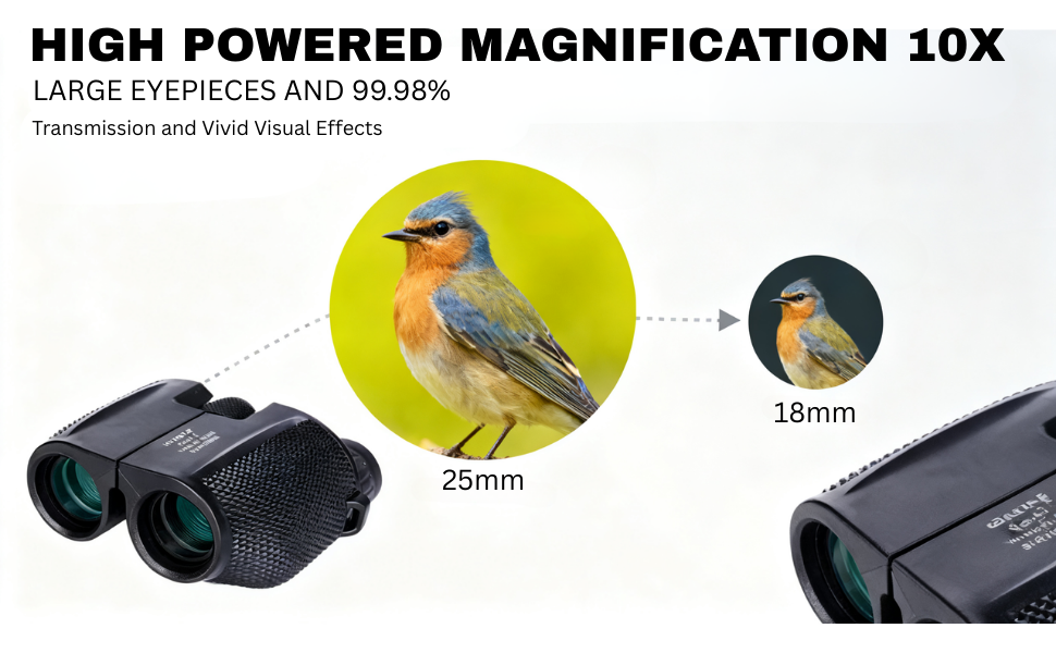 Compact 10x25 Binoculars editorial image 3