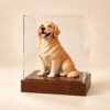 PetMemory commission — studio-display