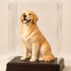 PetMemory commission — studio-finish