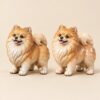 PetMemory commission — studio-material