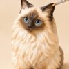 PetMemory commission — studio-ragdoll