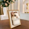 White rabbit needle-felted portrait in a gilt frame White rabbit needle-felted portrait in a gilt frame
