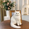 White Persian cat needle-felted portrait in a wood frame White Persian cat needle-felted portrait in a wood frame