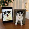 Jack Russell needle-felted portrait beside its reference photograph Jack Russell needle-felted portrait beside its reference photograph