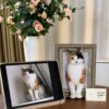 The finished framed portrait on a sideboard beside the reference photograph The finished framed portrait on a sideboard beside the reference photograph