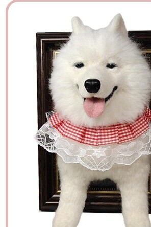 Samoyed needle-felted portrait in a dark frame, made from one photograph Samoyed needle-felted portrait in a dark frame, made from one photograph