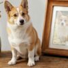 Corgi needle-felted full-body sculpture beside its framed portrait Corgi needle-felted full-body sculpture beside its framed portrait