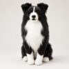 Plush Replica — sitting upright