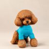 3D Printed Pet Statue — on display 3D Printed Pet Statue — on display