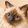 Needle-felted Ragdoll cat — close detail of the face and chest