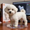 3D printed poodle figurine with its presentation box 3D printed poodle figurine with its presentation box